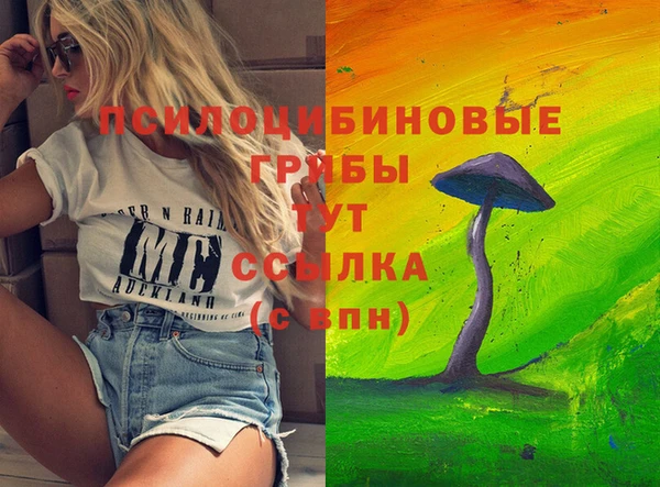 индика Алзамай