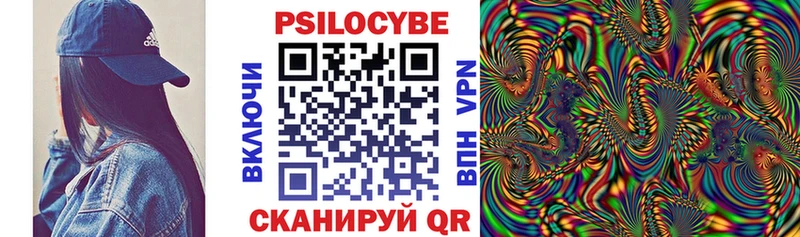 дарк нет наркотические препараты  Злынка  Галлюциногенные грибы ЛСД 