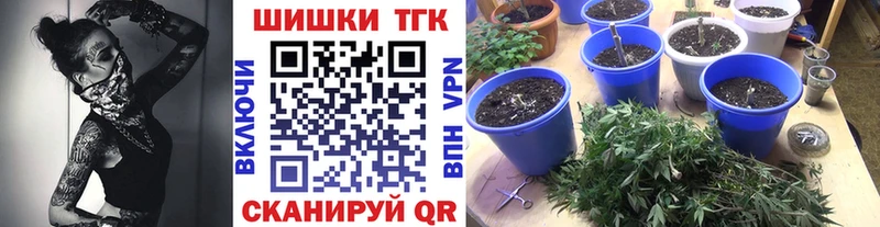 где можно купить   Злынка  Бошки Шишки гибрид 